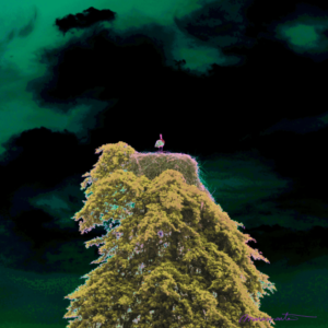 storms_listener