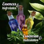 Essences & hydrolates